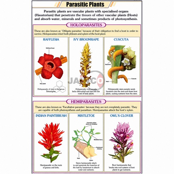 Parasitic Plants Chart